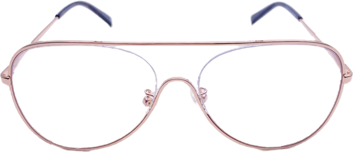 Stella McCartney Metallic Sc0160o Eye Glasses Frames
