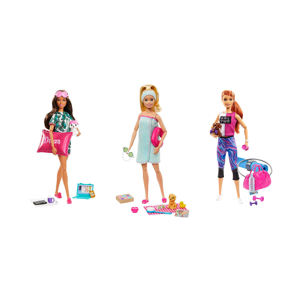 Barbie Wellness Doll, Puppy, and Acessories Assortment