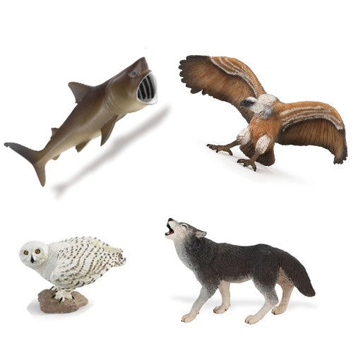 Symbolic Animal Set I