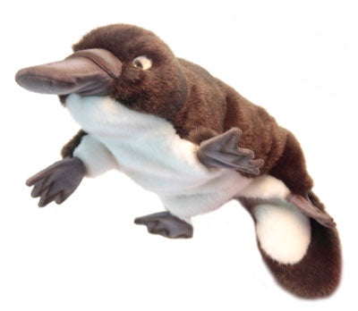 Platypus Hand Puppet - 49cm